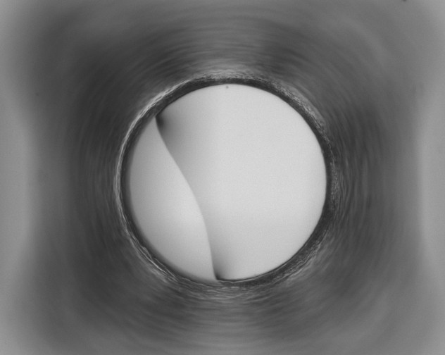 X0000115110391200911241331