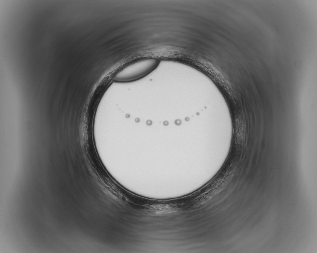 X0000115110392200911241331