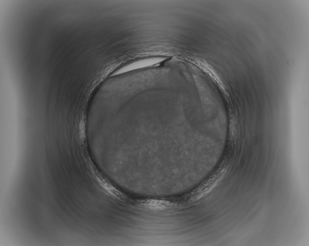 X0000115110393200911241331