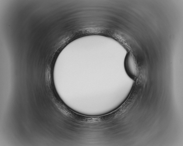 X0000115110398200911241331