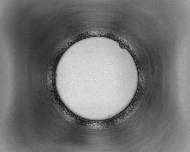 X0000115110402200911241331