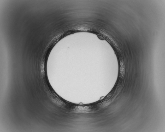 X0000115110403200911241331