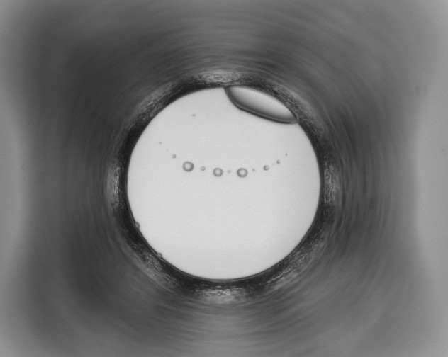 X0000115110404200911241331