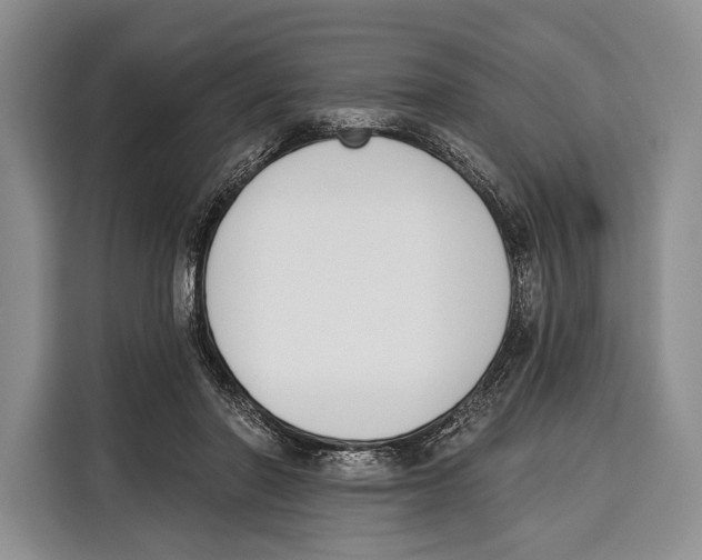 X0000115110406200911241331