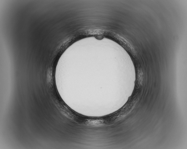 X0000115110407200911241331