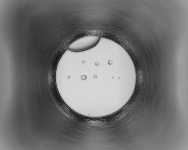 X0000115110408200911241331