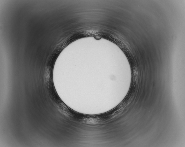 X0000115110412200911241331