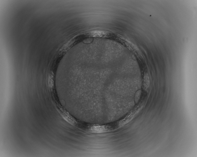 X0000115110413200911241331