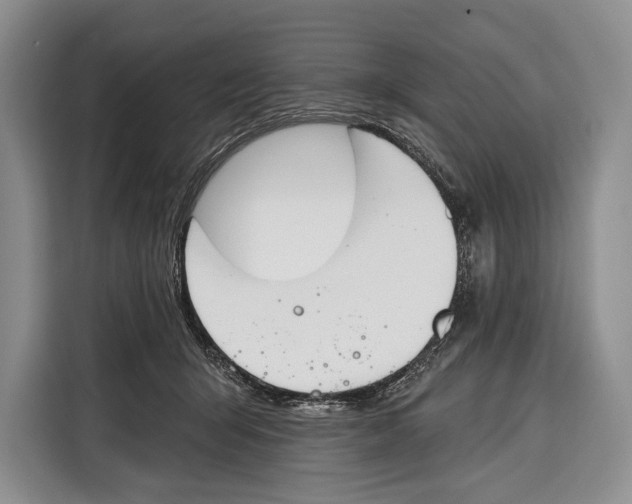 X0000115110415200911241331