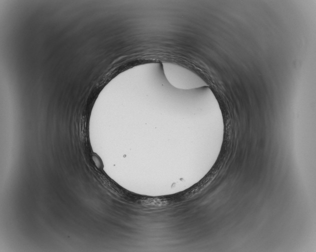 X0000115110421200911241331