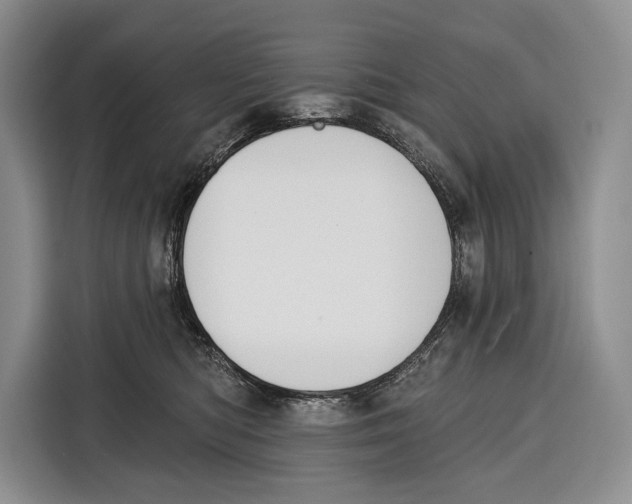 X0000115110422200911241331