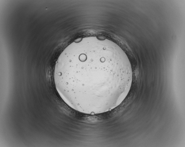 X0000115110423200911241331