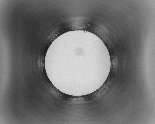 X0000115110426200911241331