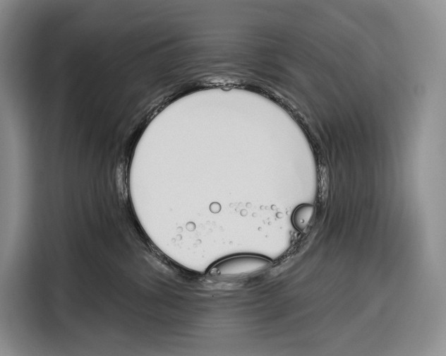 X0000115110428200911241331