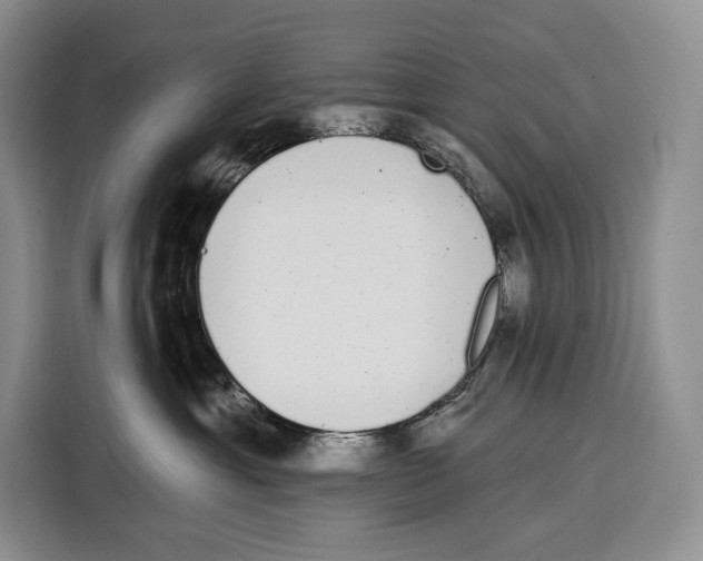 X0000115110429200911241331