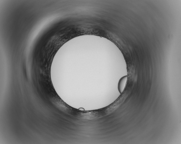 X0000115110430200911241331