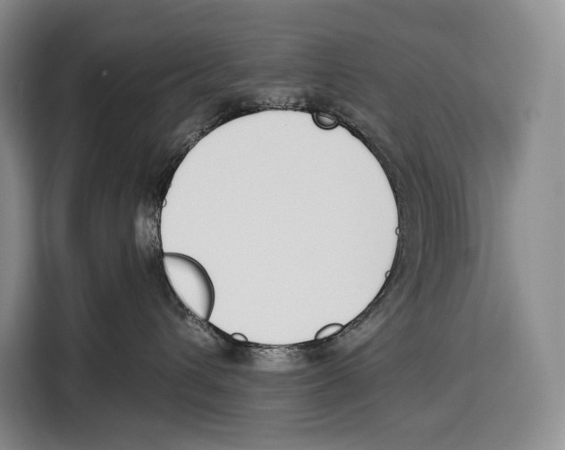 X0000115110432200911241331