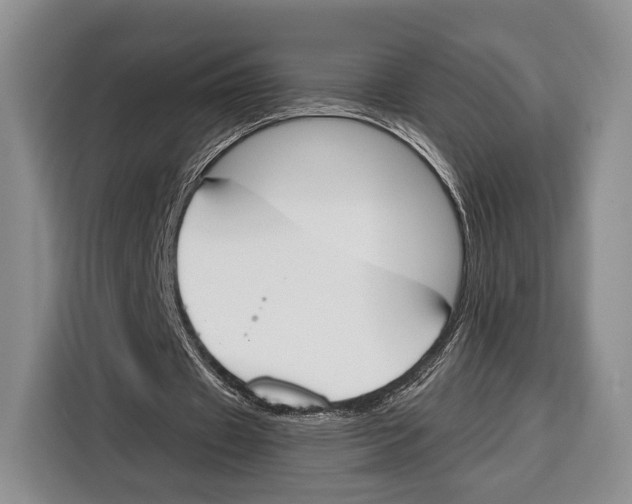 X0000115110433200911241330