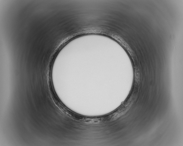 X0000115110434200911241330