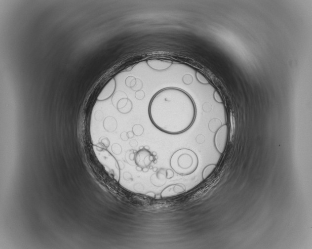 X0000115110435200911241330