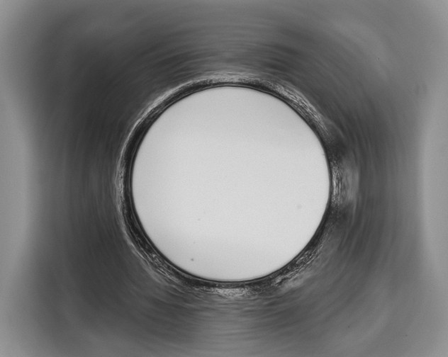 X0000115110436200911241330