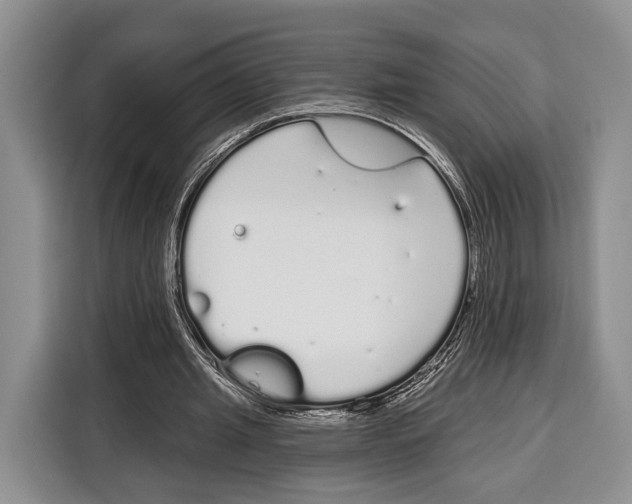 X0000115110437200911241330