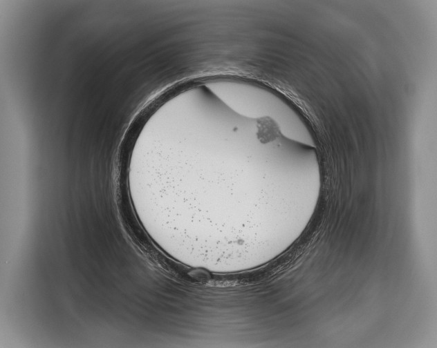 X0000115110440200911241330