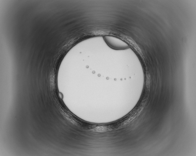 X0000115110441200911241330