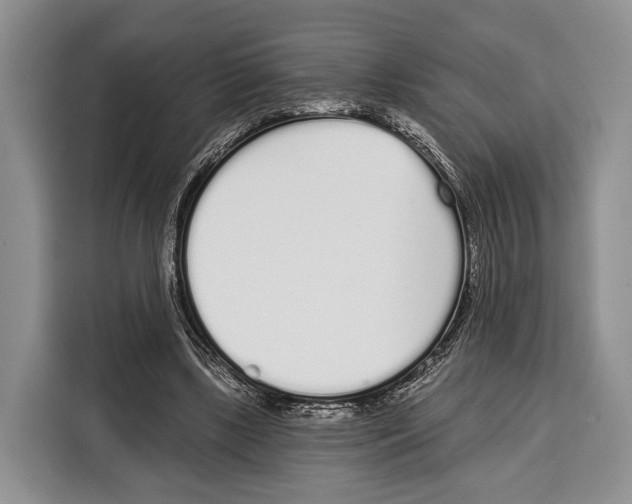 X0000115110443200911241330