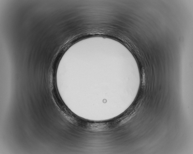 X0000115110444200911241330