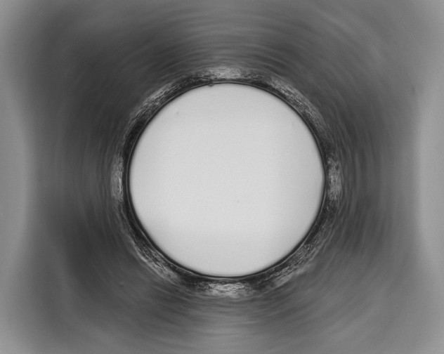 X0000115110446200911241330