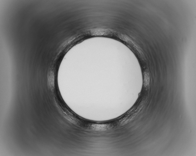 X0000115110448200911241330