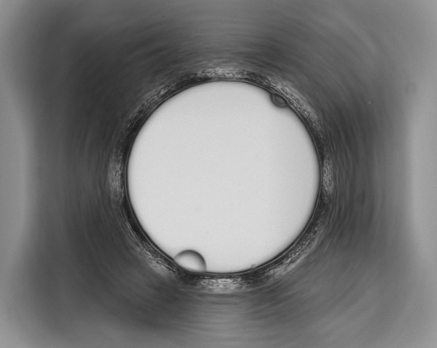 X0000115110449200911241330