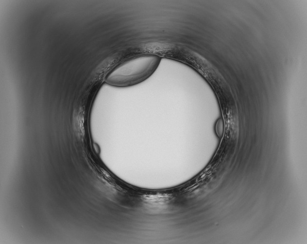 X0000115110452200911241330