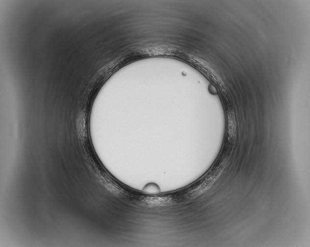 X0000115110453200911241330