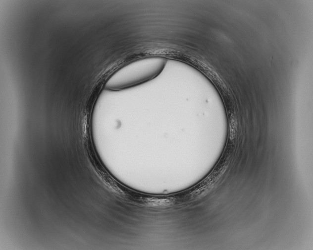 X0000115110454200911241330