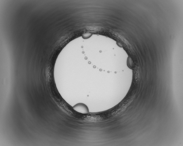 X0000115110455200911241330