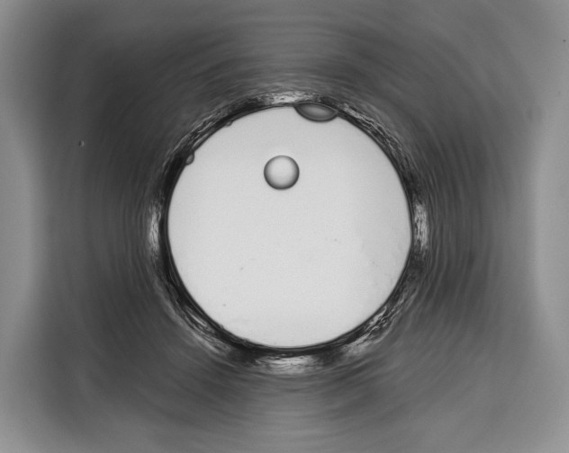 X0000115110456200911241330