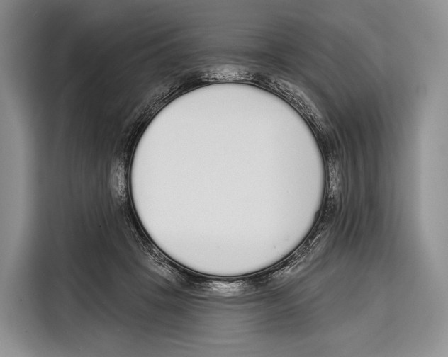 X0000115110457200911241330