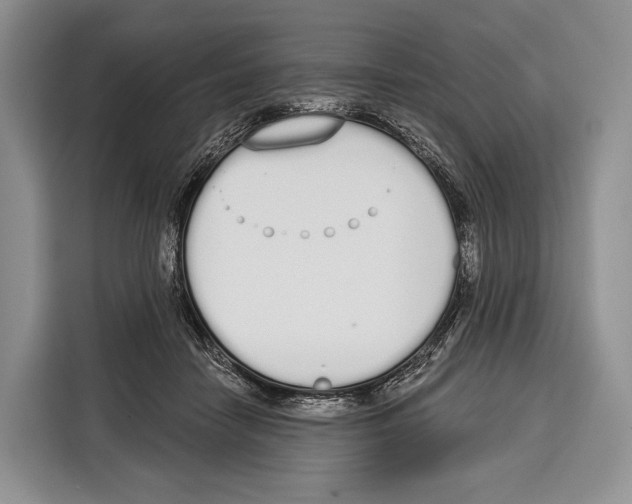 X0000115110458200911241330