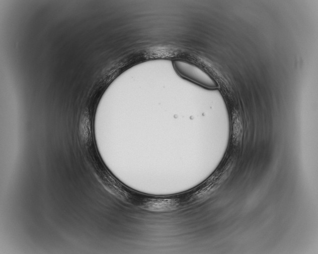 X0000115110459200911241330