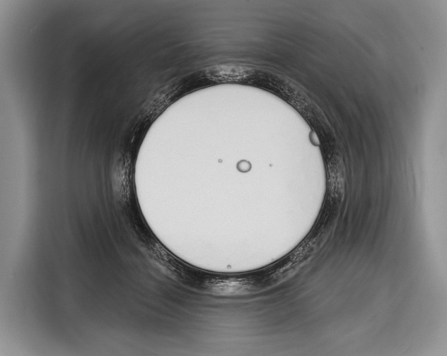 X0000115110460200911241330