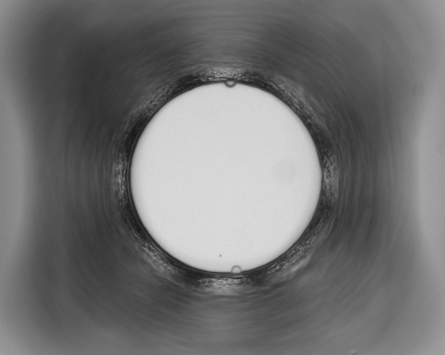 X0000115110462200911241331