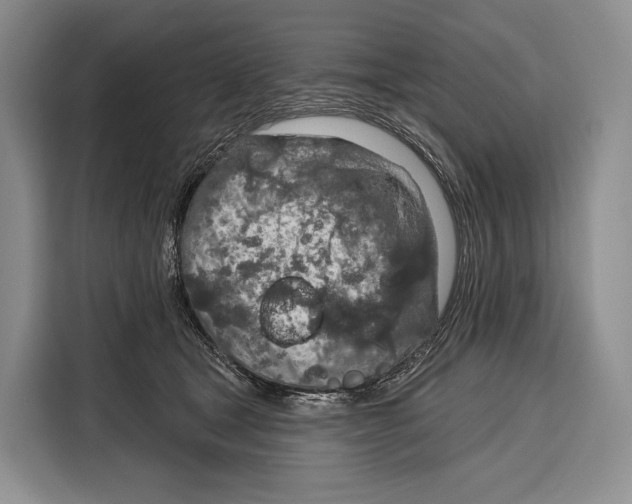 X0000115110465200911241331