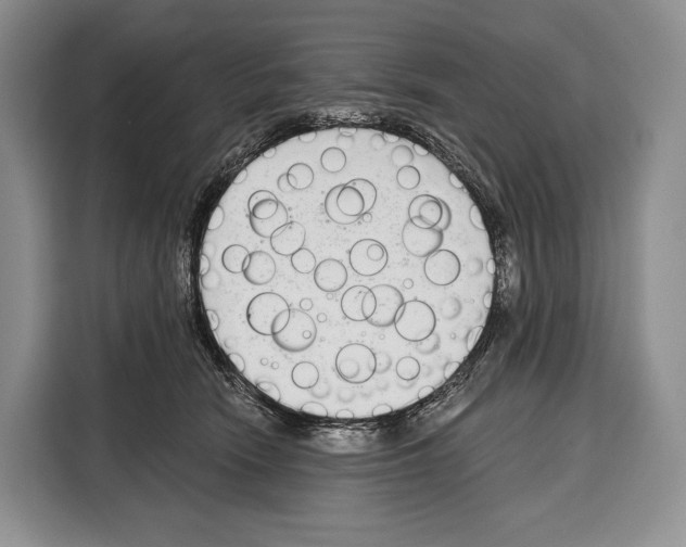 X0000115110466200911241331