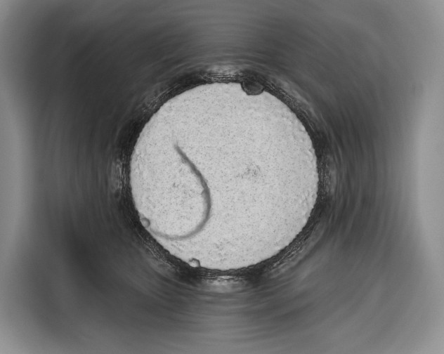 X0000115110467200911241331