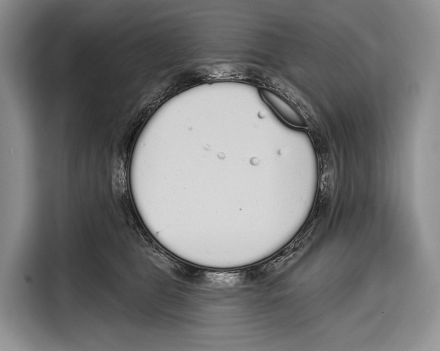 X0000115110469200911241331