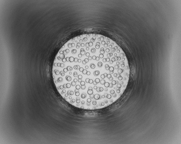 X0000115110470200911241331