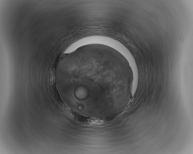 X0000115110471200911241331