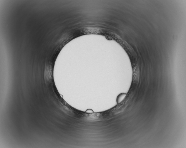 X0000115110474200911241331